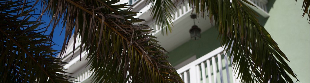 palm-slider3